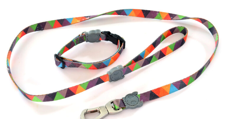 Best Dog Leash And Collar