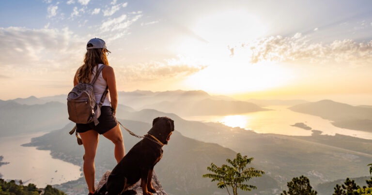 Best Dog Leash For Hiking