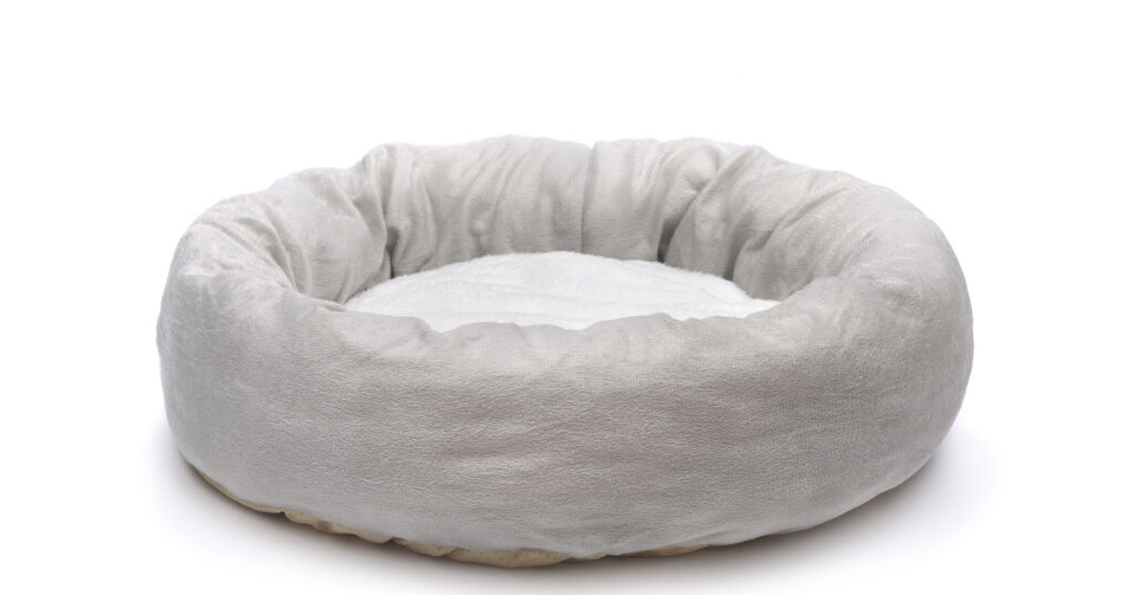 How To Choose the Right Dog Bed