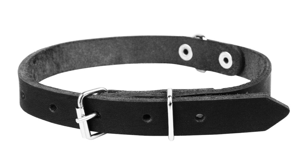 Leather collars