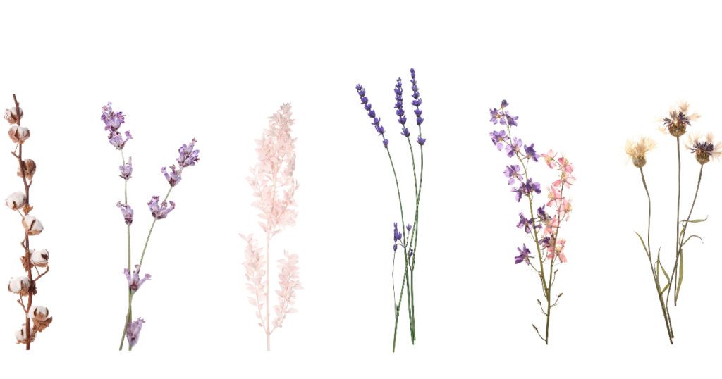 Can Dried Flowers Cause Allergies