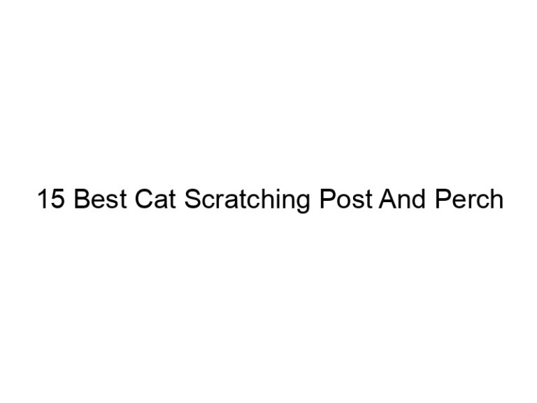15 best cat scratching post and perch 6006