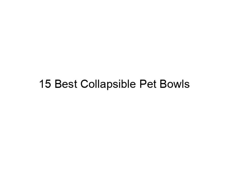 15 best collapsible pet bowls 7824