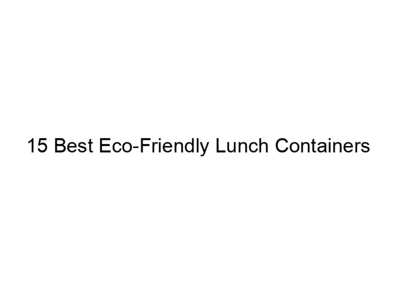 15 best eco friendly lunch containers 7796