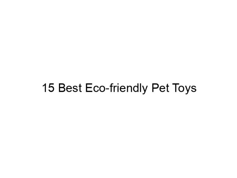 15 best eco friendly pet toys 5281