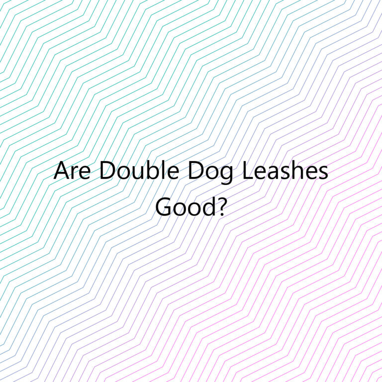 are double dog leashes good 2447