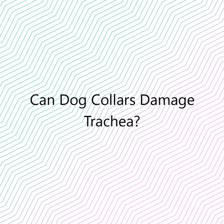 can dog collars damage trachea 2545