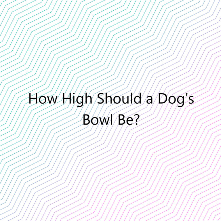 how high should a dogs bowl be 2663
