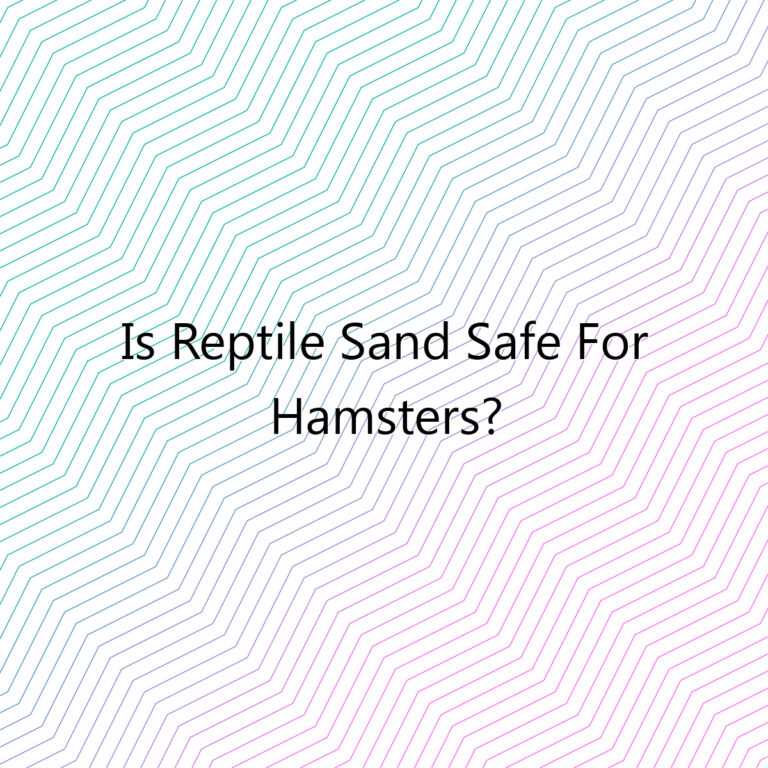 is reptile sand safe for hamsters 1382