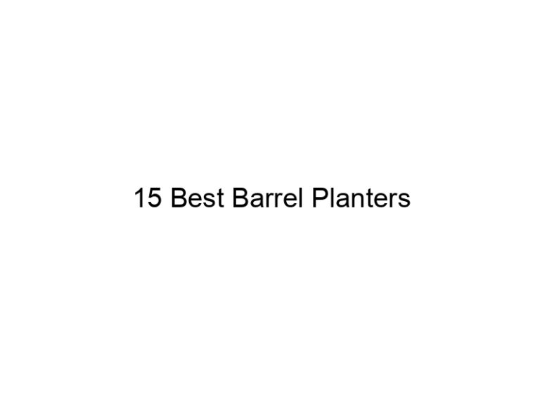 15 best barrel planters 20486