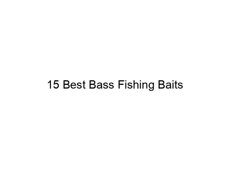15 best bass fishing baits 20758