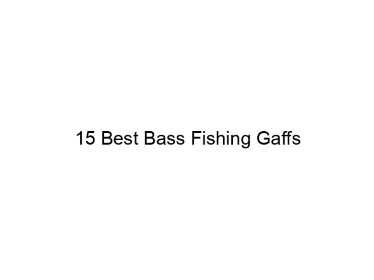 15 best bass fishing gaffs 20759