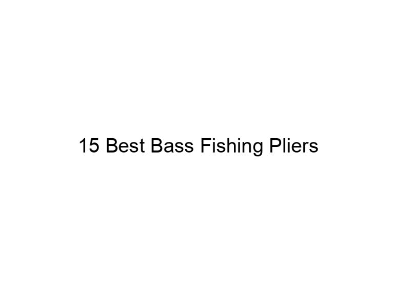15 best bass fishing pliers 20767