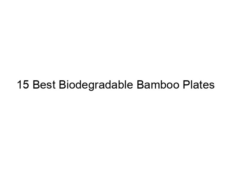 15 best biodegradable bamboo plates 5256