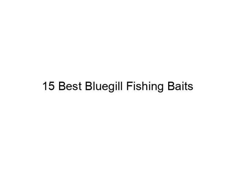 15 best bluegill fishing baits 20778