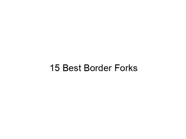 15 best border forks 20382