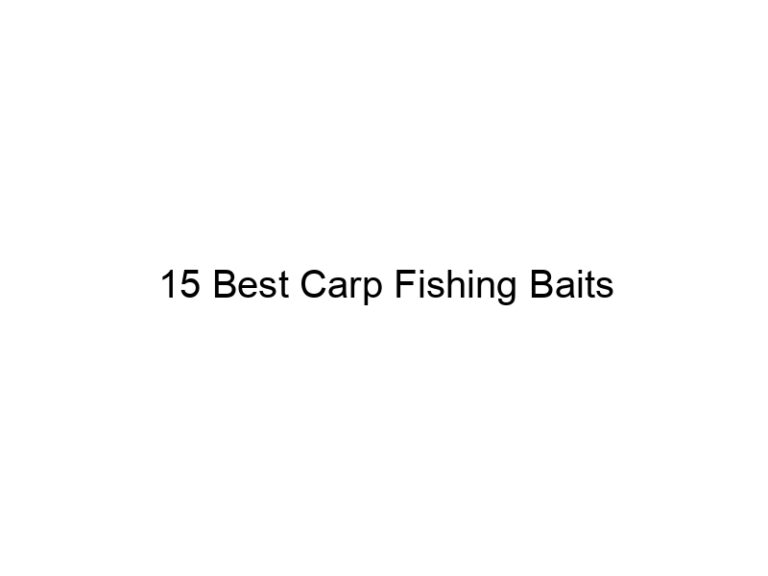 15 best carp fishing baits 20818
