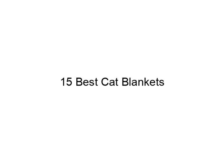 15 best cat blankets 22880