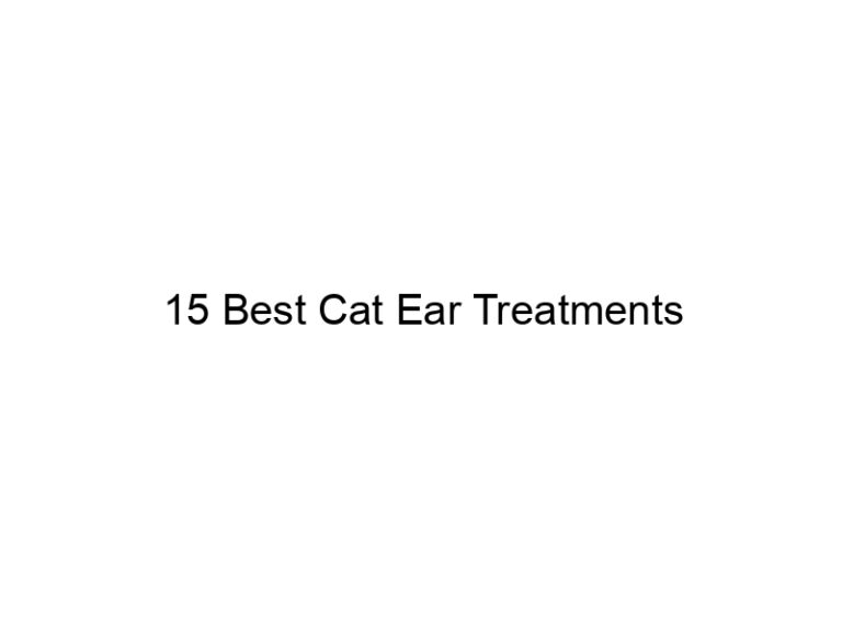 15 best cat ear treatments 22842