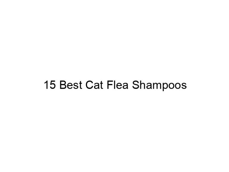 15 best cat flea shampoos 22816