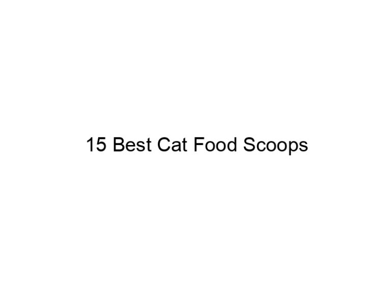 15 best cat food scoops 22857
