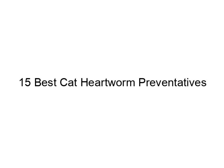 15 best cat heartworm preventatives 22831