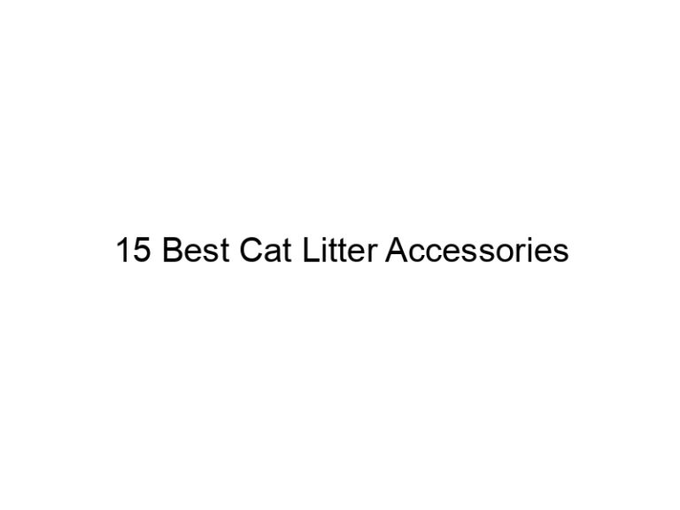 15 best cat litter accessories 22420