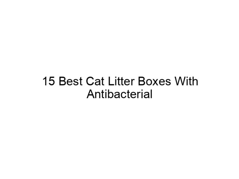 15 best cat litter boxes with antibacterial antifungal odor control filters 22638