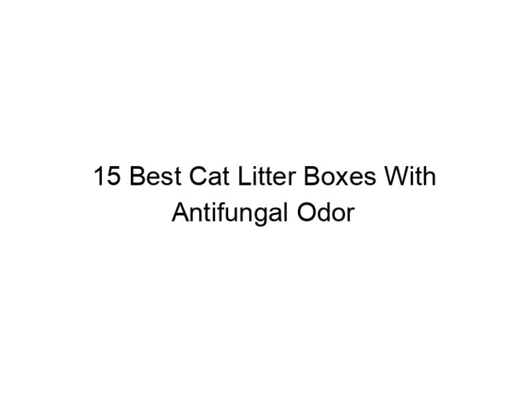 15 best cat litter boxes with antifungal odor control filters 22635