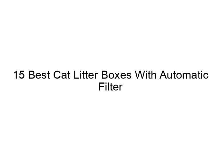 15 best cat litter boxes with automatic filter changes 22555