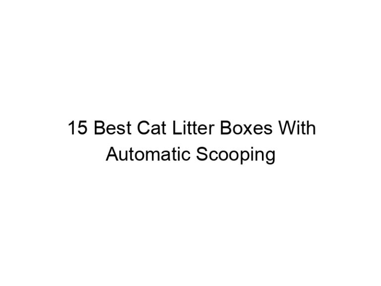 15 best cat litter boxes with automatic scooping 22437