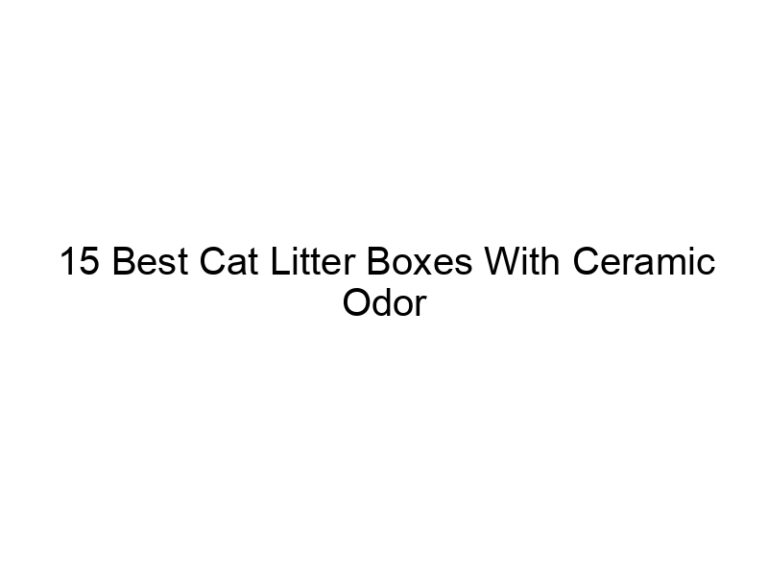 15 best cat litter boxes with ceramic odor control filters 22656