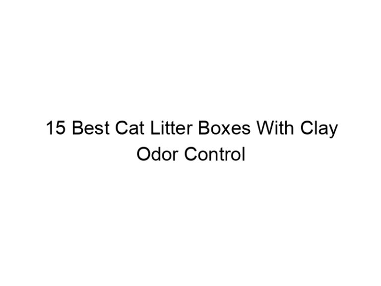 15 best cat litter boxes with clay odor control filters 22655