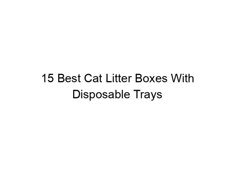 15 best cat litter boxes with disposable trays 22438