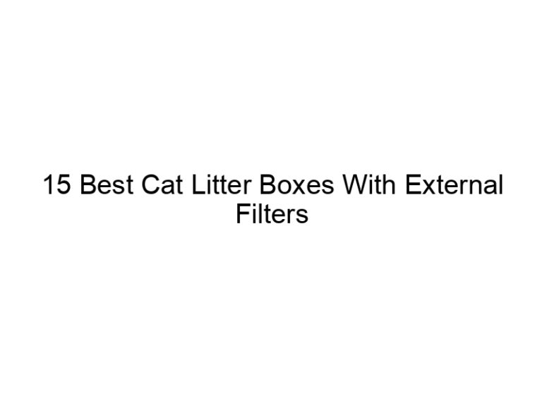 15 best cat litter boxes with external filters 22547