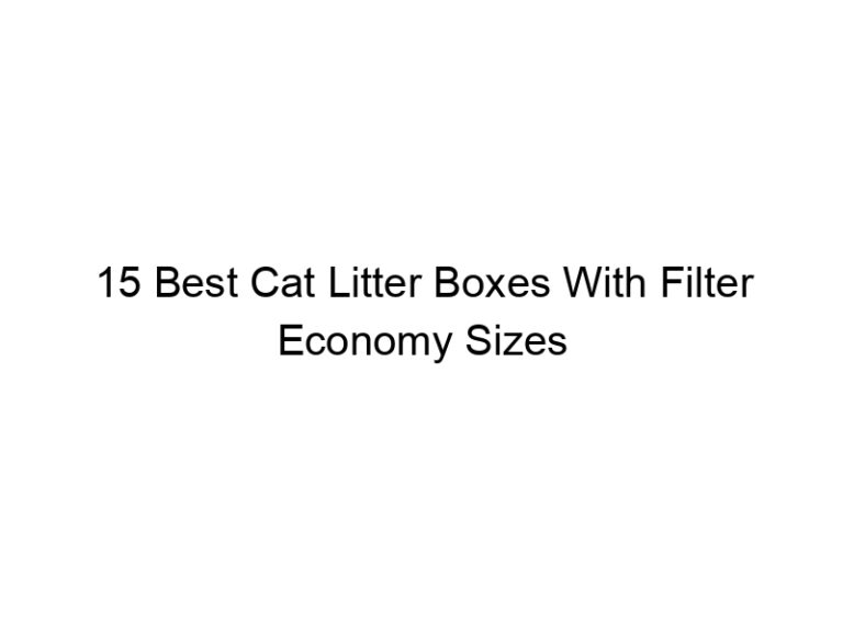 15 best cat litter boxes with filter economy sizes 22574
