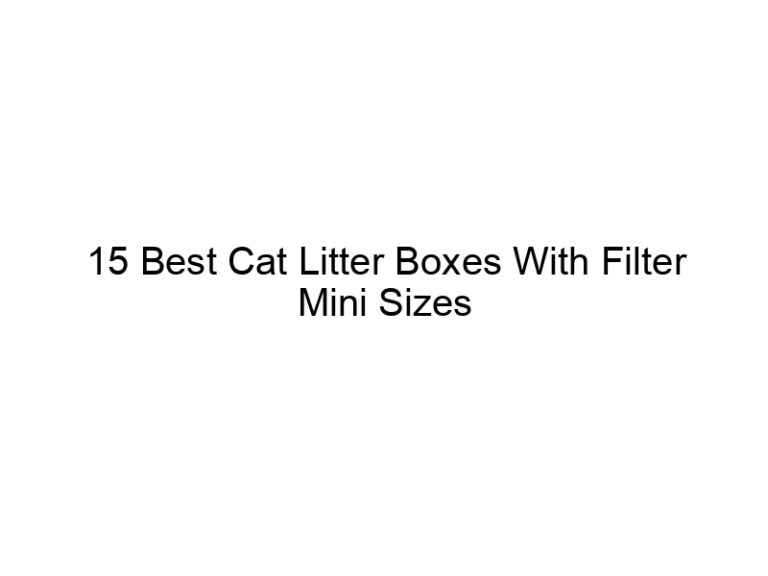 15 best cat litter boxes with filter mini sizes 22570
