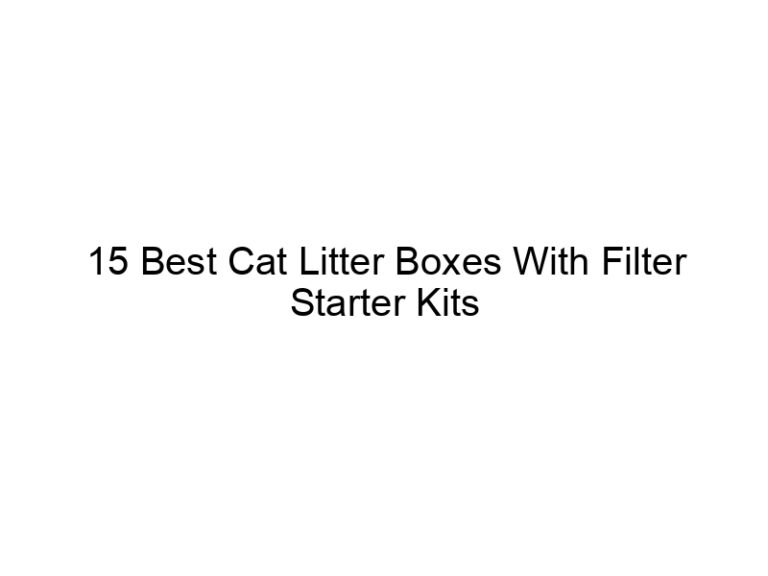 15 best cat litter boxes with filter starter kits 22567
