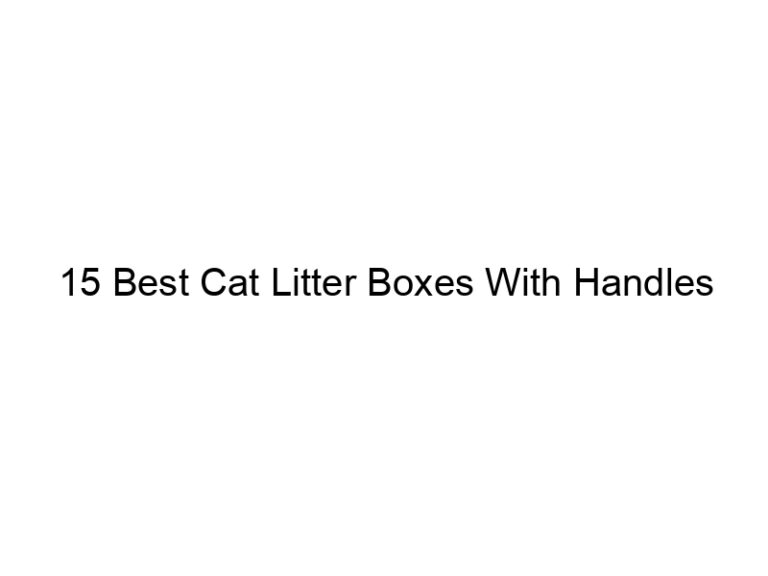 15 best cat litter boxes with handles 22448