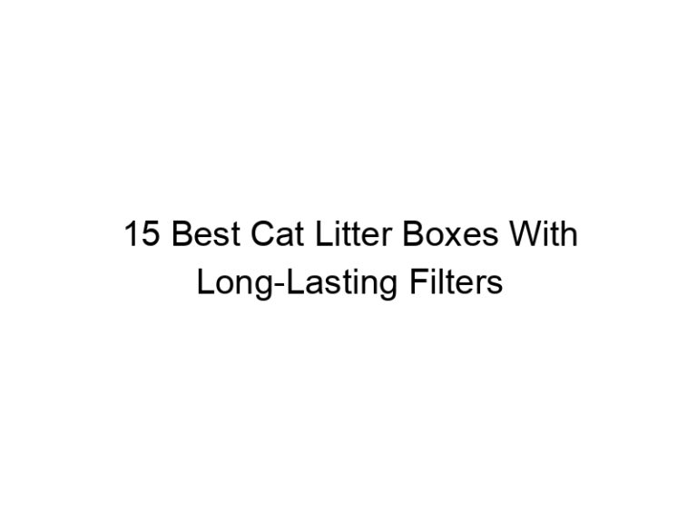 15 best cat litter boxes with long lasting filters 22540