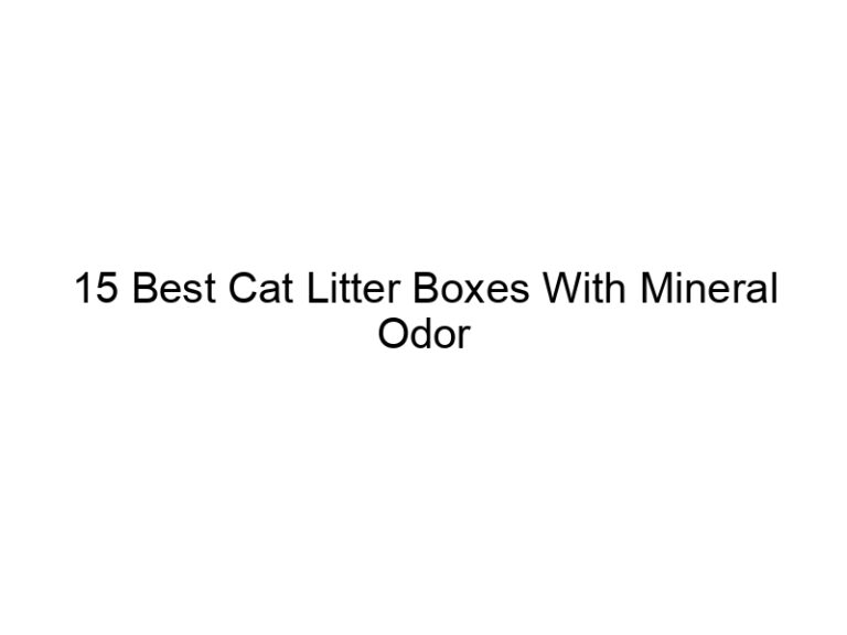 15 best cat litter boxes with mineral odor control filters 22654