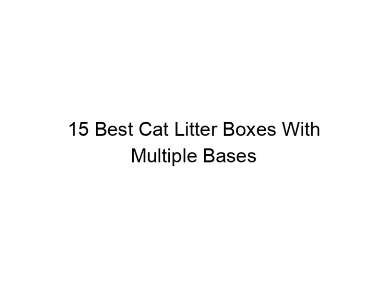 15 best cat litter boxes with multiple bases 22527
