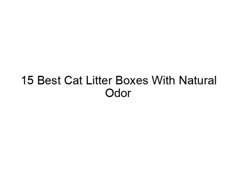 15 best cat litter boxes with natural odor control filters 22640
