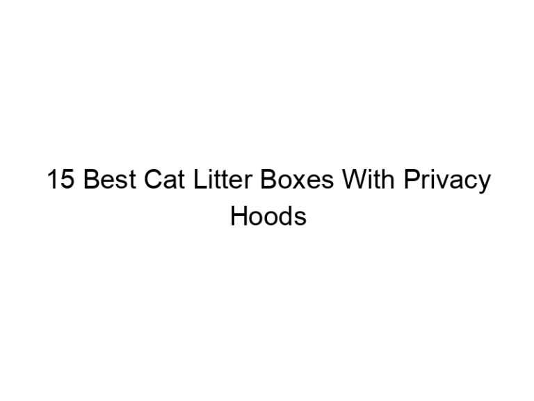15 best cat litter boxes with privacy hoods 22440