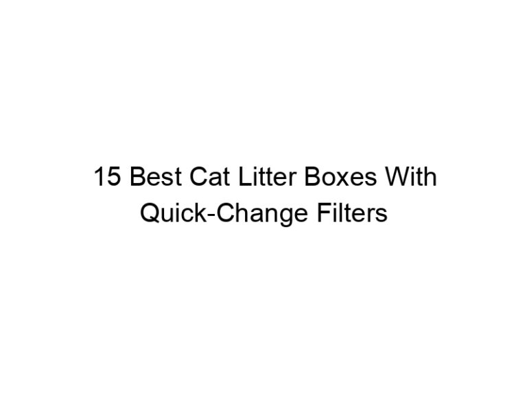 15 best cat litter boxes with quick change filters 22541