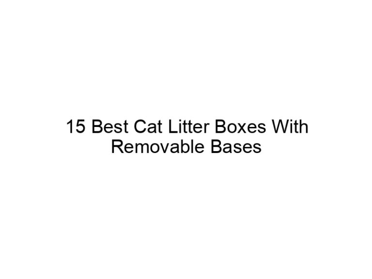 15 best cat litter boxes with removable bases 22463