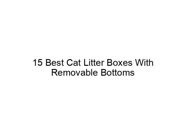 15 best cat litter boxes with removable bottoms and bases 22492