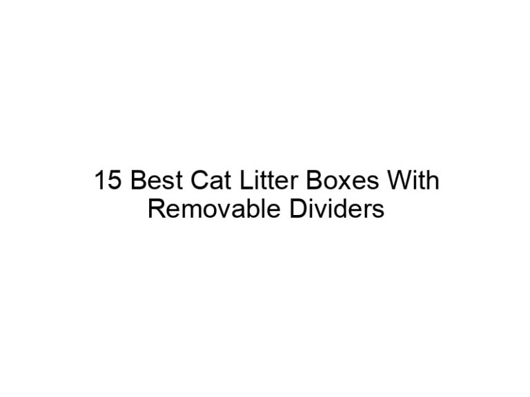 15 best cat litter boxes with removable dividers and bases 22513