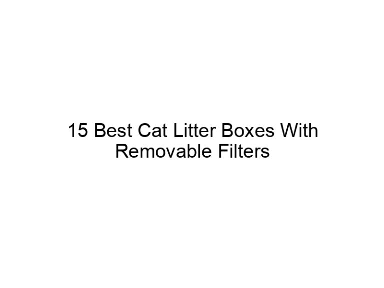 15 best cat litter boxes with removable filters 22451