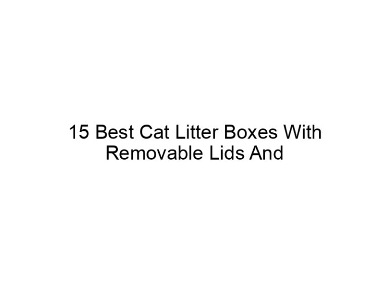 15 best cat litter boxes with removable lids and bases 22476
